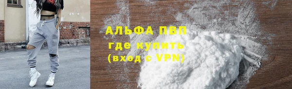 стаф Пересвет