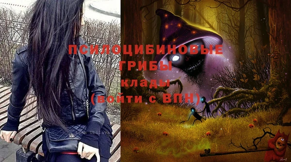ешки Пестово